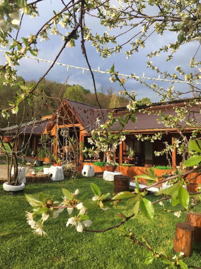 Hotel Lângă Stână à Curtea de Argeş Extérieur photo